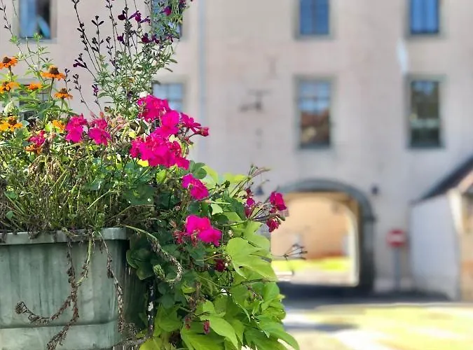 Thermotel דירה בורבון-לה-בה